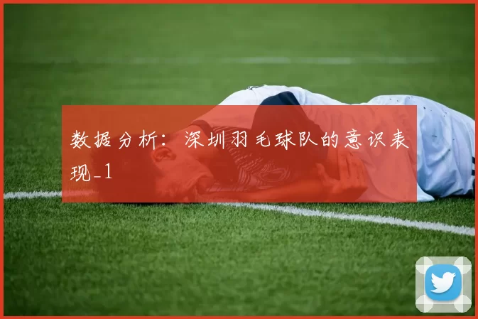 数据分析：深圳羽毛球队的意识表现_1