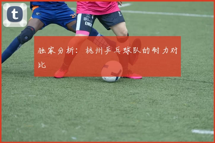 独家分析：杭州乒乓球队的耐力对比